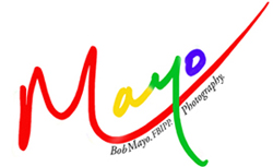 Photo Mayo